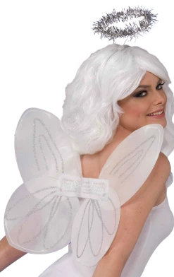 Morris Costumes Angels Angel Wings And Halo Set