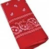 Bristol Novelty Red Bandana Accessory Western