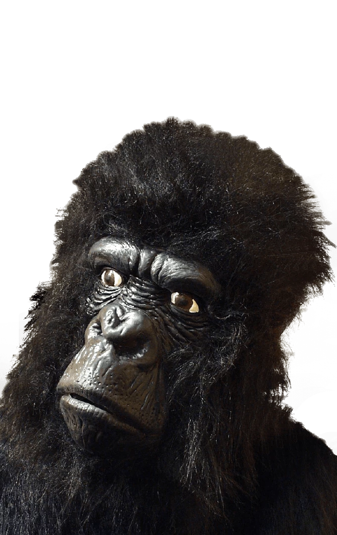 Smiffys Large Gorilla Facepiece With Hair Animals 1 Smiffys Large Gorilla Facepiece With Hair Animals