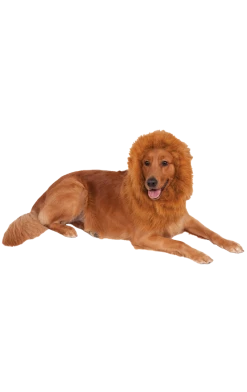 Rubies Animals Lion Mane Dog Accessory