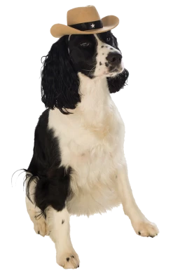 Rubies American / USA Indiana Bones Dog Accessory