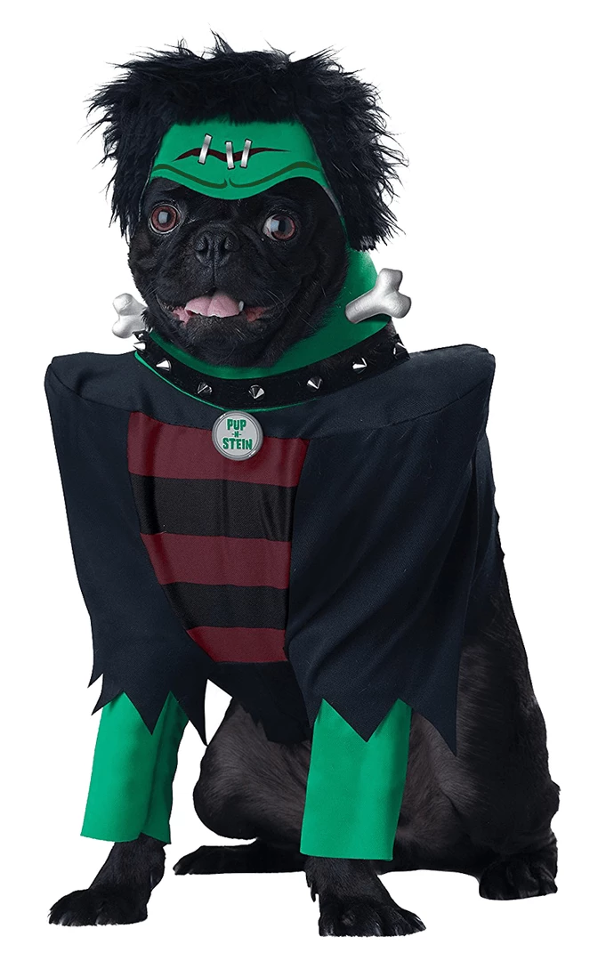 California Costumes Frankenup Halloween Dog Costume 1 California Costumes Frankenup Halloween Dog Costume