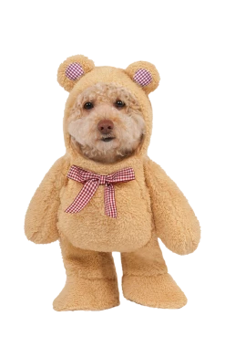 Rubies Animals Walking Bear Dog Costume