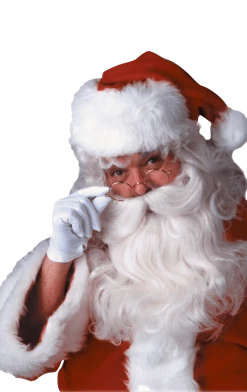 Rubies Santa Wig And Beard Set Christmas