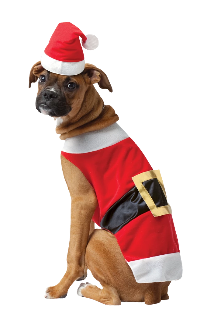 Rasta Imposta Santa Claws Dog Costume Christmas 1 Rasta Imposta Santa Claws Dog Costume Christmas