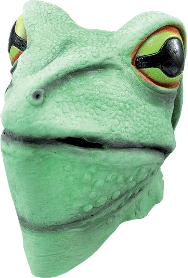 Bristol Novelty Latex Frog Facepiece Animals 1 Bristol Novelty Latex Frog Facepiece Animals