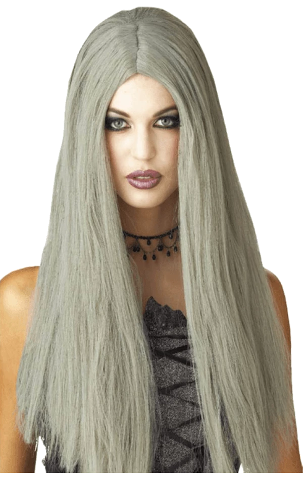 Palmer All Accessories Long Grey Wig 1 Palmer All Accessories Long Grey Wig