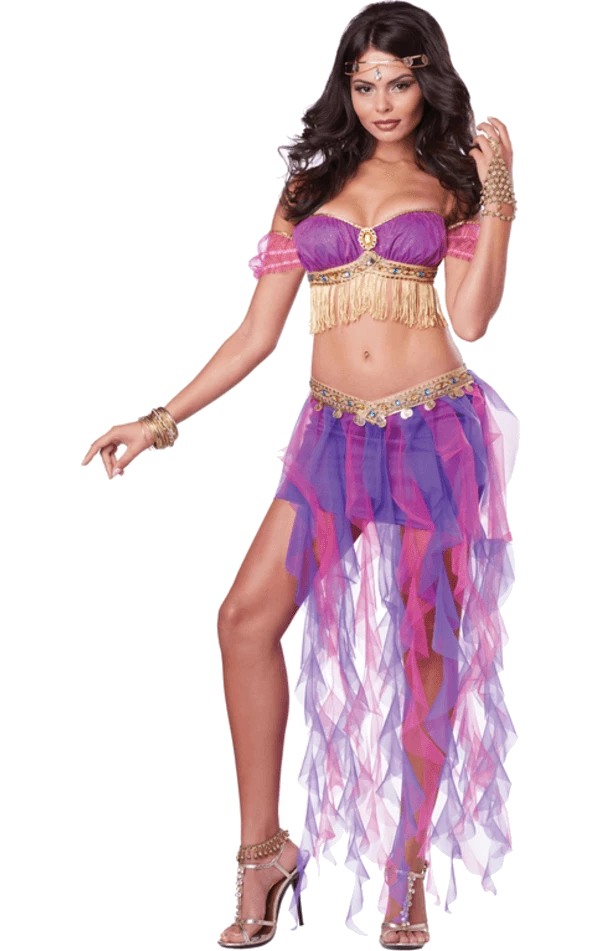 California Costumes Belly Dancer Costume Around The World 1 California Costumes Belly Dancer Costume Around The World