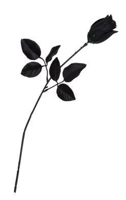 Bristol Novelty Single Black Rose Accessory