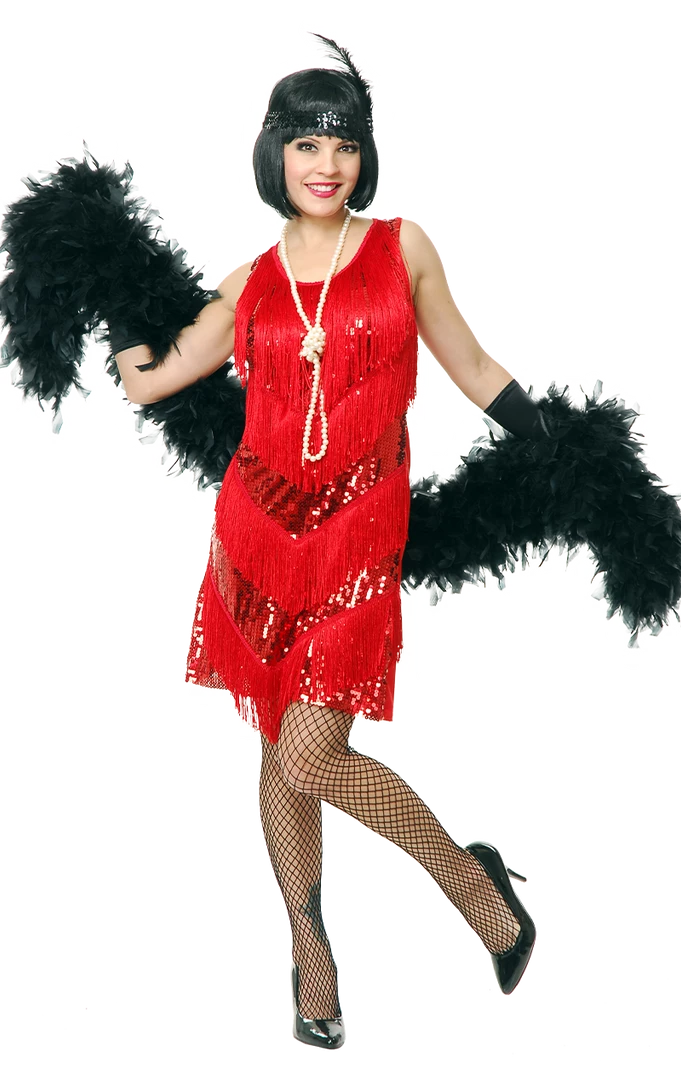 Dreamgirl Costumes Under £20 Jazzy Flapper Dress Costume 1 Dreamgirl Costumes Under £20 Jazzy Flapper Dress Costume