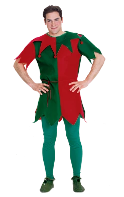 Rubies Costumes Under £20 Economy Elf Tunic Costume