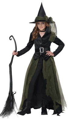 California Costumes Kids Cool Witch Costume Halloween